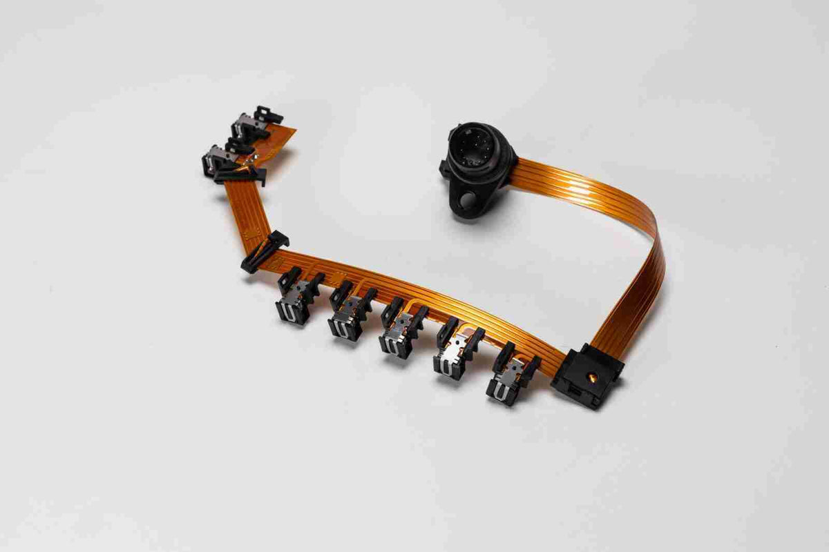 098/01P/099: Wire Harness, Internal Case( w/Case Connector & Oil Temp Sensor)