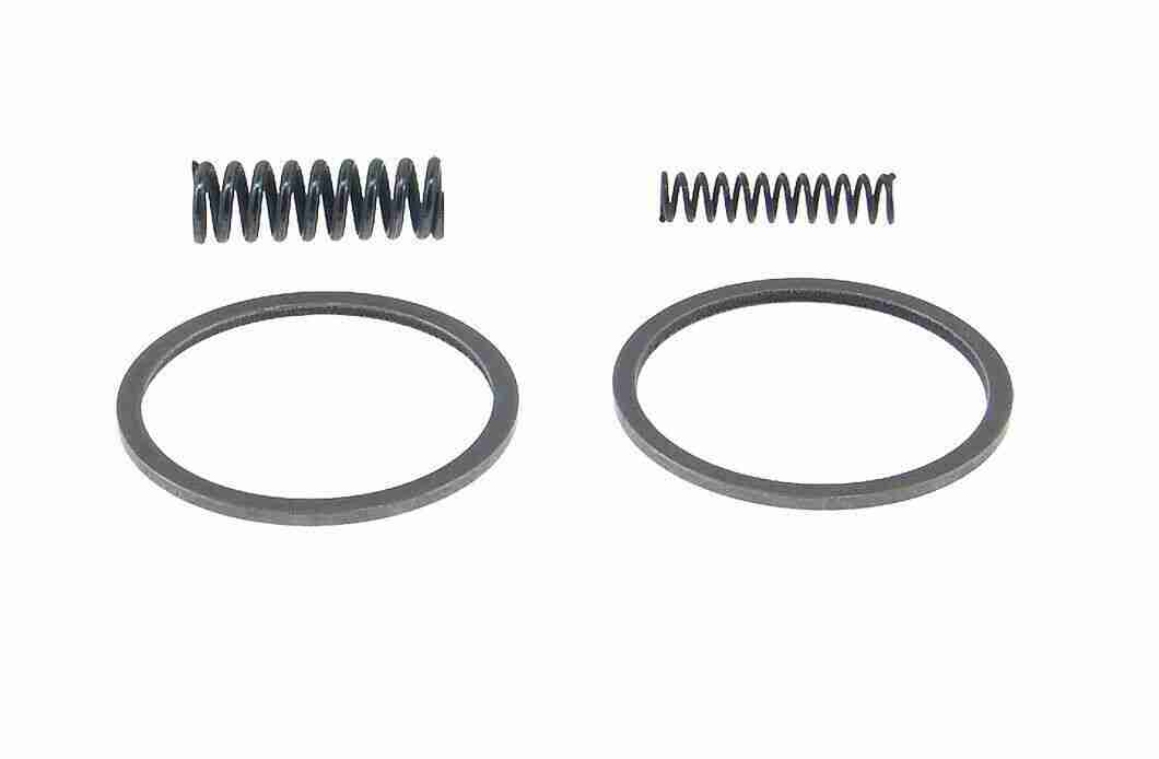 Transgo TH200-4R ('80-90) & TH700-R4/4L60E:No Yoyo Pump Ring Kit '82-Up 700 PK